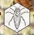 Guildford Beekeepers