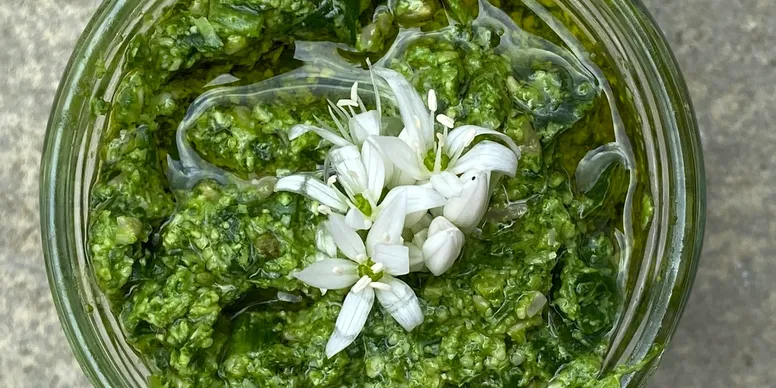 Spring Wild Garlic and Greens Forage with Wild Food – Joyful Outdoors