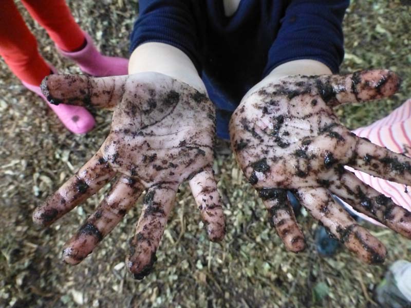 Holiday Clubs at Surrey Hills Forest School