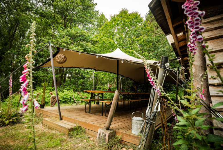 Hedges and Hurdles Shelter at the Birtley Woodland Art Space with seating area set in woodlands at The Birtley Estate