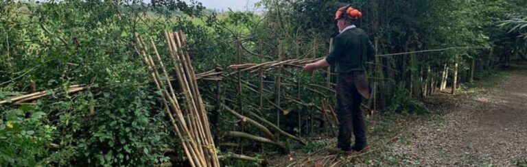 Man in outdoor gear standing by a hedge under construction in a woodland setting