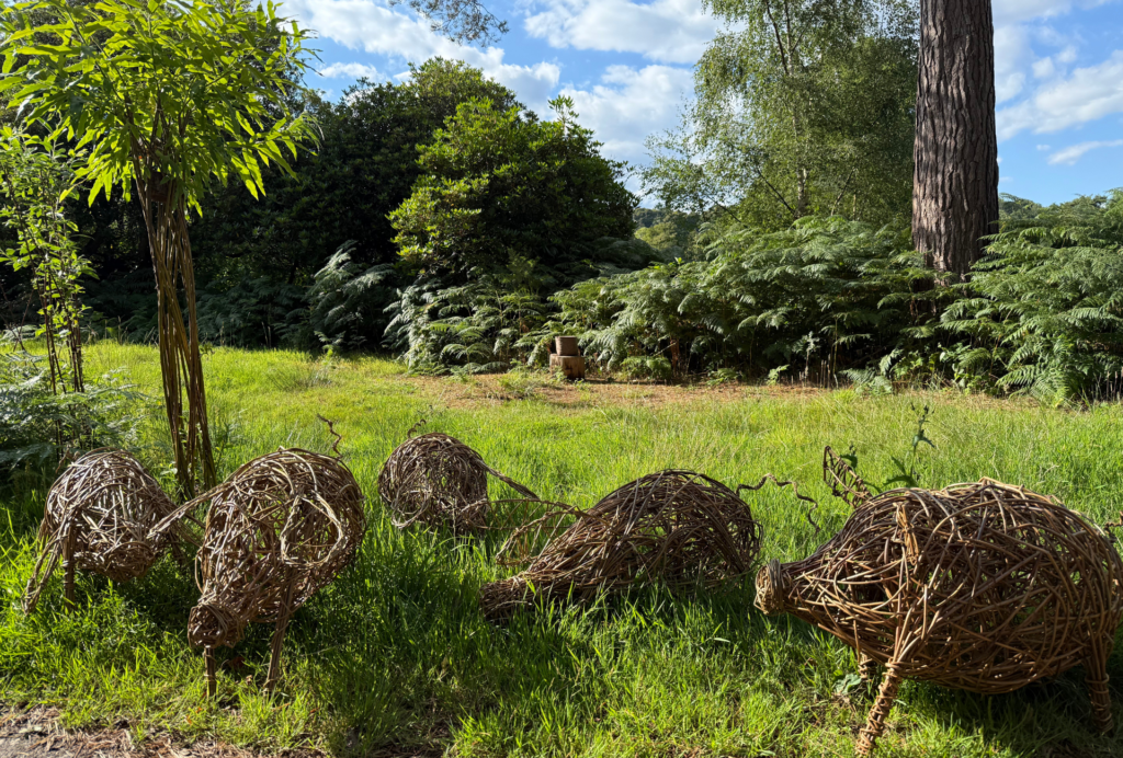 five willow piglets created at a willow craft workshop led by Hedges and Hurdles at the Birtley Woodland Art Space on the Birtley Estate