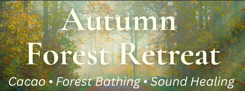 Roots for the Future, Autumn Forest Bathing